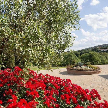 Poggio Pellicciaia Vila Arezzo Exterior foto